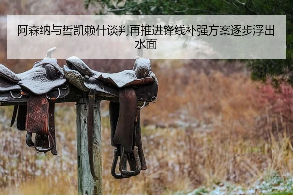 阿森纳与哲凯赖什谈判再推进锋线补强方案逐步浮出水面